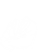 physician.png